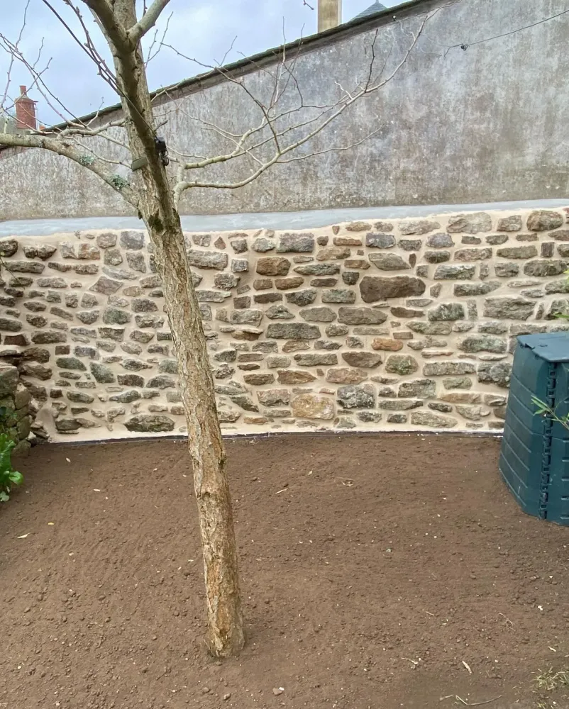creatio-renovation murette (6)