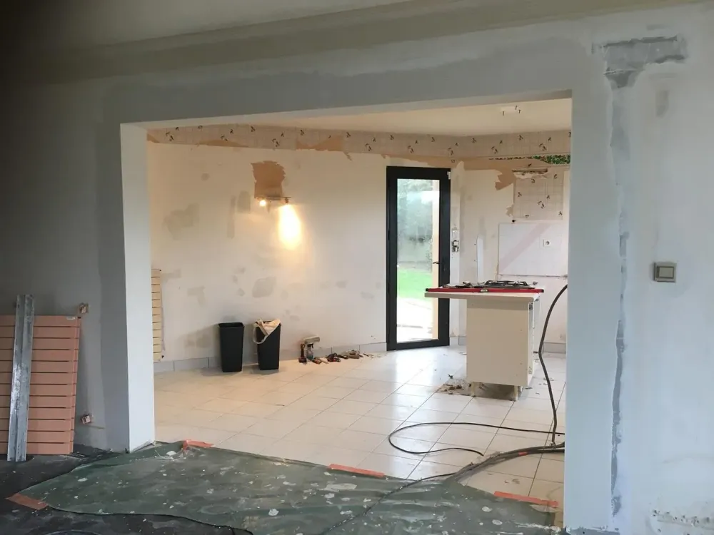renovation (1)